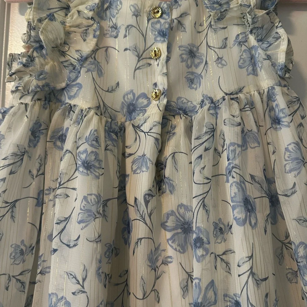 Floral Blue and White Dress - Picture 5 of 12